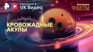 Кровожадные акулы — Безумные факты (05.02.2025)