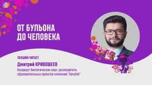 Дмитрий Кривошеев. От бульона до человека