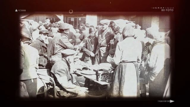 Muranów - Dzielnica Północna - film edukacyjny | Muzeum POLIN смотреть онлайн