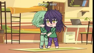 24 Часа пик и вару адни в комнате