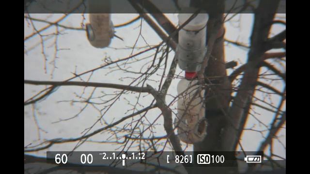 Кормушка для птиц 05.02.2025