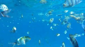 Royal Brayka beach resort