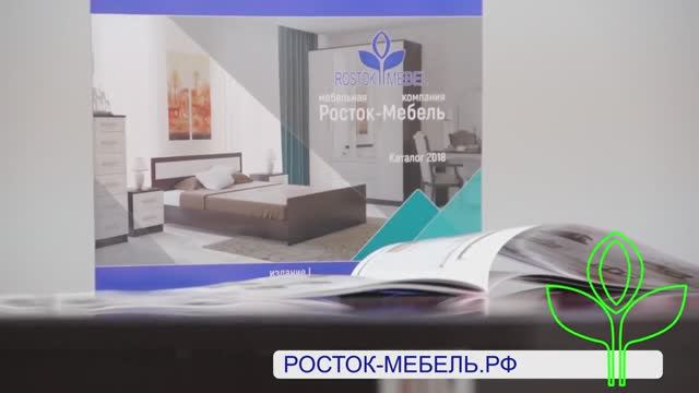 Шкаф-купе ПШ 2.9 смотреть онлайн