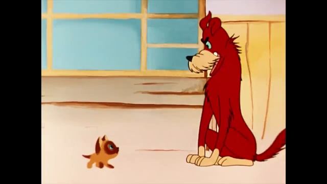 Котёнок Гав