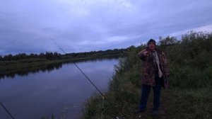 В Куровицы за лещом. Луга.