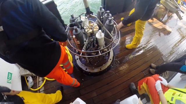 EU 7FP project Micro B3 (Marine Microbial Biodiversity, Bioinformatics, Biotechnology)
