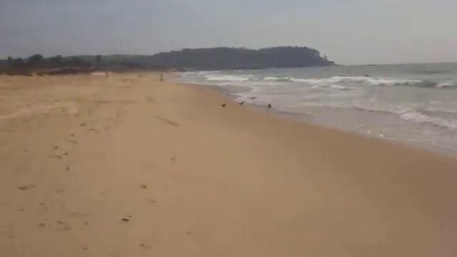 пляж Калангут, Гоа, Индия (Beach Calangute, Goa, India)