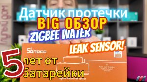 Датчик протечки Sonoff SNZB-05P. Умный дом. Большой, подробный обзор. Как подключить к Алисе.