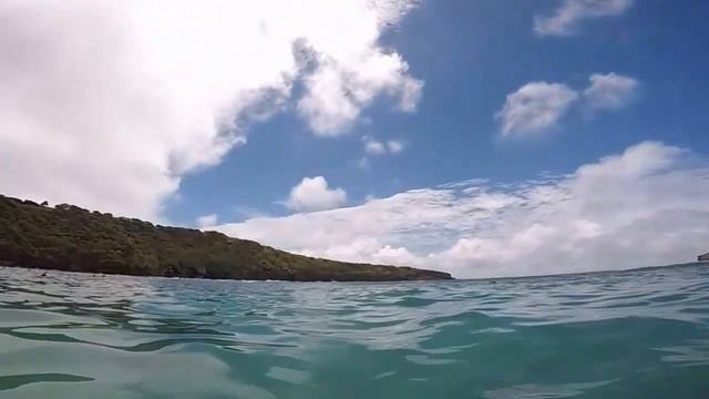 snorkeling at hanauma bay hawaii смотреть онлайн