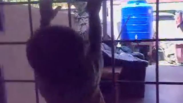 gabriel climbing door grill 22july08 смотреть онлайн