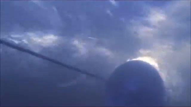 BlueFreedom смотреть онлайн