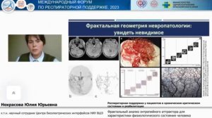 Фрактальный анализ состояния человека Некрасова Ю.Ю. 2023