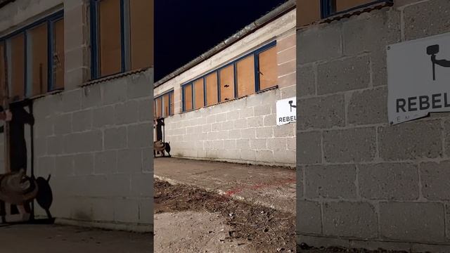 360kg 10 metre yoke #yoke #strongman смотреть онлайн