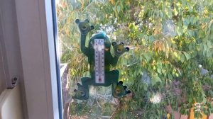 🐸лягушка - термометр # 🐸Frosch - Thermometer # 🐸frog - thermometer