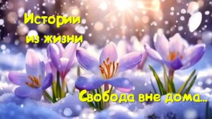Жизненные истории - Свобода вне дома - Истории из жизни - Измена