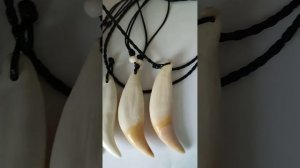 Настоящие клыки медведя все размеры