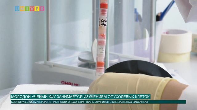 МОЛОДОЙ УЧЕНЫЙ КФУ ЗАНИМАЕТСЯ ИЗУЧЕНИЕМ ОПУХОЛЕВЫХ КЛЕТОК У БОЛЬНЫХ РАКОМ ПАЦИЕНТОВ смотреть онлайн