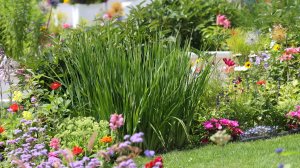 САДЫ  США. Чудесные Цветники. Этот Прекрасный Мир с волшебной музыкой