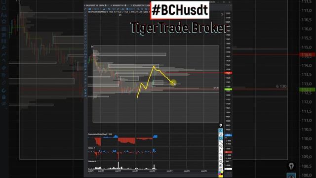 Биткоин кэш удерживаю в покупку с локальными целями 02 06 2023