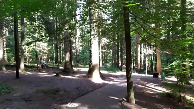 Східниця 2022: від джерела N3 через ринок в лісі в Східниці