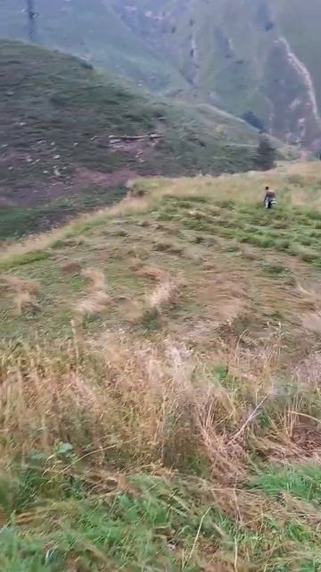 Как триммер косит  траву смотреть онлайн