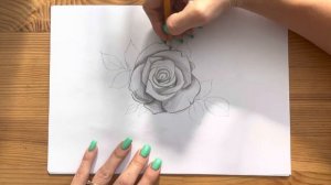 Рисунок розы простым карандашом | Срисовка картинки для начинающих поэтапно и легко