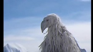 ПТИЦА ИЗ 2027