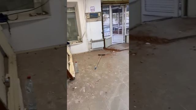 Декабристов 27