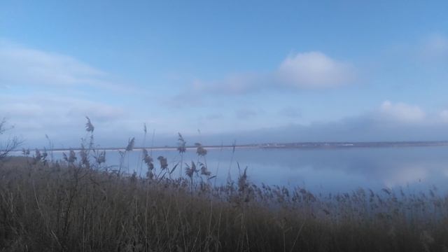 VID_20250205_102135