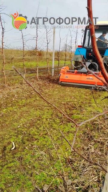 #shorts смотреть онлайн