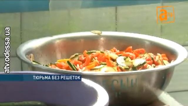 Умови відбування покарання у ШВЦ № 111 смотреть онлайн