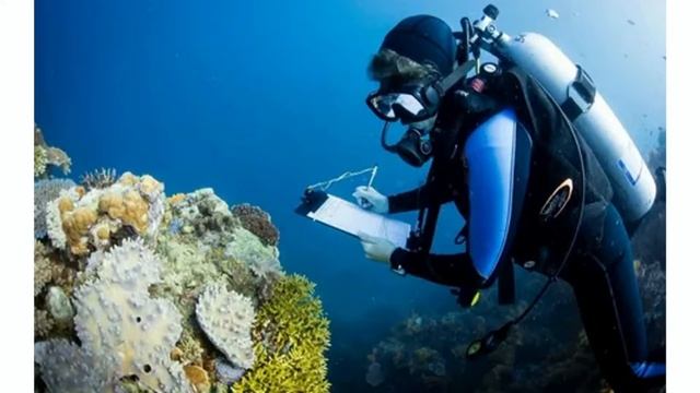 ПОЧЕМУ СПАСЕННЫЕ В КОВЧЕГЕ ЛЮДИ ПОДРАЗДЕЛЯЮТСЯ ОТДЕЛЬНО НА МУЖЧИН И ЖЕНЩИН?(СЛУЖЕНИЕ)