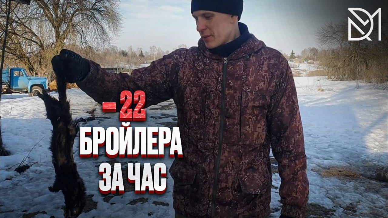 БОЛЬШИЕ ПОТЕРИ В ХОЗЯЙСТВЕ///ВИНОВНИК БЫЛ НАКАЗАН///ДЕРЕВЕНСКИЕ БУДНИ смотреть онлайн