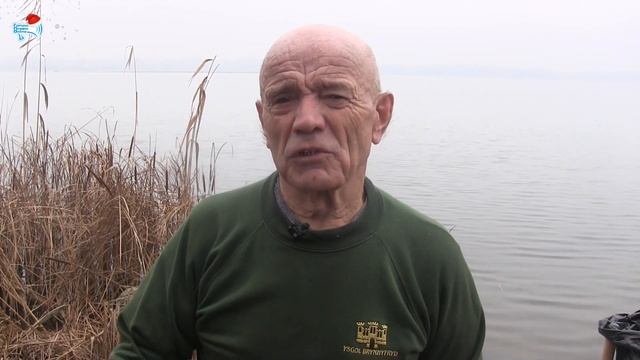 ГРОМАДСЬКА ОРГАНІЗАЦІЯ "КЛУБ ЗИМОВОГО ПЛАВАННЯ "ДНІПРОВСЬКІ МОРЖІ" смотреть онлайн