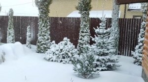 Приглашаю в снежную сказку ❄☃️❄