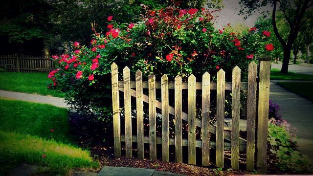 Канал хороших песен и фото онлайн смотреть онлайн