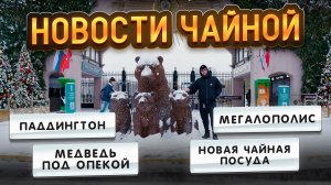 Новая посуда для чайных церемоний, медведь под опекой и свежий китайский чай | Чайная мастерская