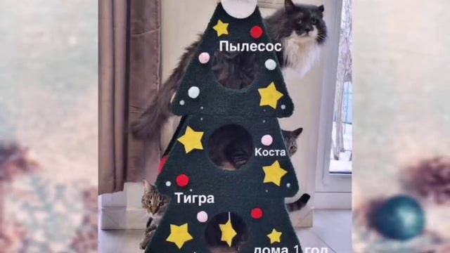 Смотрите и радуйтесь с нами – огромный букет домашних приветов от наших бывших подопечных!