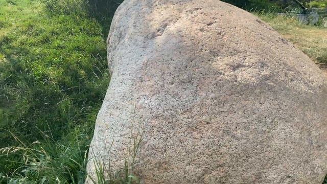 сад камней в 4к смотреть онлайн