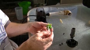 Active Aqua Submersible Pump Cleaning