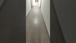 Ленинградский 33А, 4 этаж.