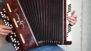 Accordion Bayan Era