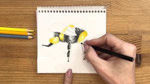 Как нарисовать шмеля цветными карандашами | Рисунок поэтапно для детей
