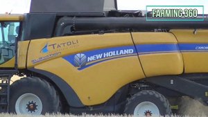 Harvest 2021 | New Holland CX8080 Elevation combine