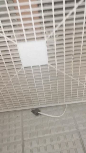 a 1970s torcan 1091 box fan смотреть онлайн