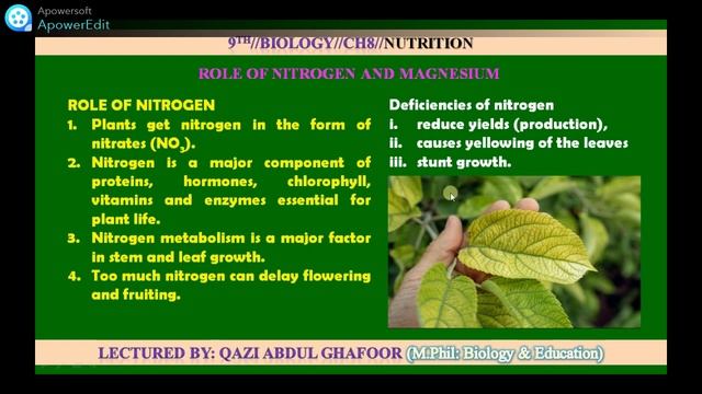 Role of Nitrogen and Magnesium, Chapter 08, Nutrition, 9th Biology смотреть онлайн