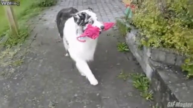 Когда мне нужен зонтик...... смотреть онлайн