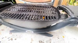 Weber Q1200 Liquid Propane Grill Review