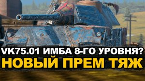 Новый прем VK 75.01 стал ли круче после теста? | Tanks Blitz