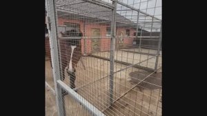 Продаём ферму!!!